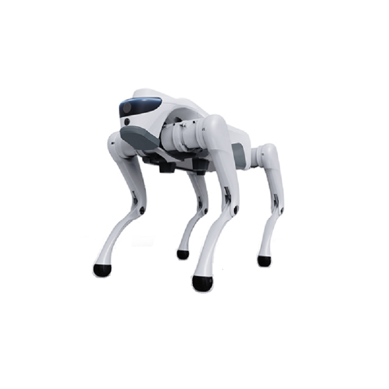 In che modo un robot quadrupede può trasformare le moderne applicazioni industriali e intelligenti?
