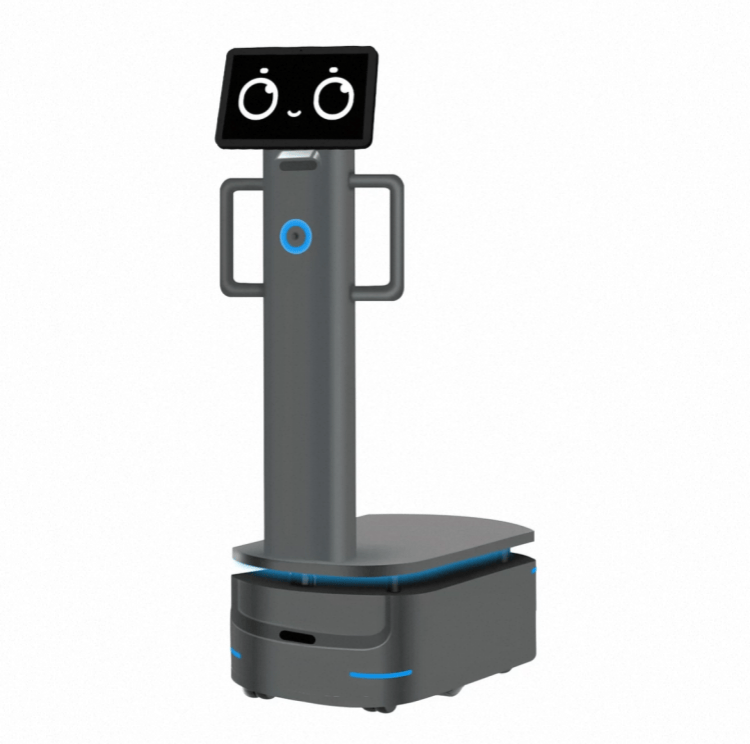Robot per carichi pesanti per consegne industriali