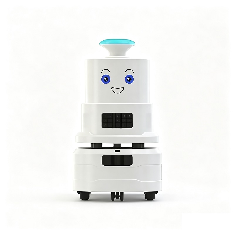 Mini robot autonomo per la disinfezione dell'atomizzazione