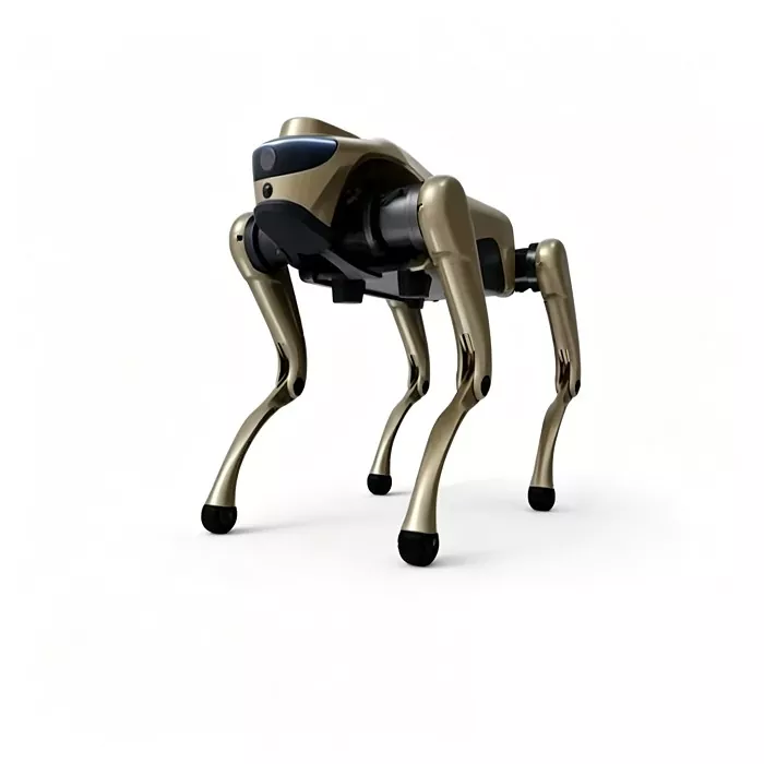 Quadruped Robot Dog